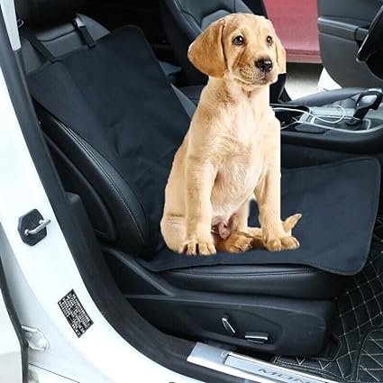 RAYMSTER Front Car Seat Cover for Dogs & Pets - Scratch-Proof, Non-Slip, Universal Car Seat Cover for Dog Owners - Grey (Pack of 1)